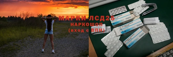 прущие грибы Бородино