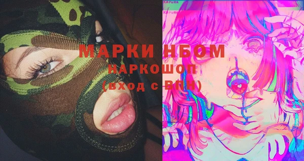прущие грибы Бородино
