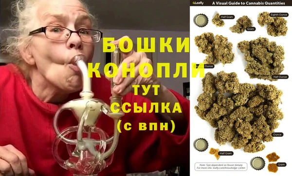прущие грибы Бородино