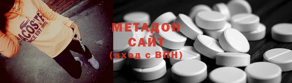 прущие грибы Бородино