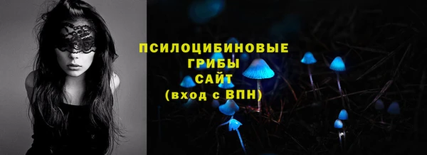 МДПВ Верея