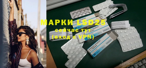 прущие грибы Бородино