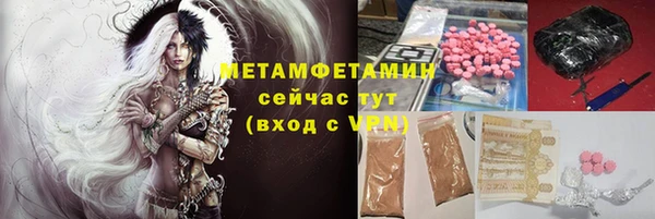 прущие грибы Бородино